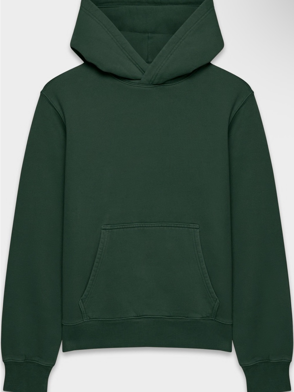 Aritzia cozy Sweatfleece perfect hoodie